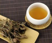金線蓮泡茶一次放幾根？