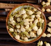 鮮茉莉花怎么炮制成茶？