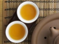 苦蕎茶與梔子花可以泡茶嗎？