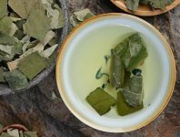 荷葉茶為什么叫短命茶？