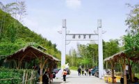 5月12日：徒步貢茶古道，天然氧吧，綠色之旅